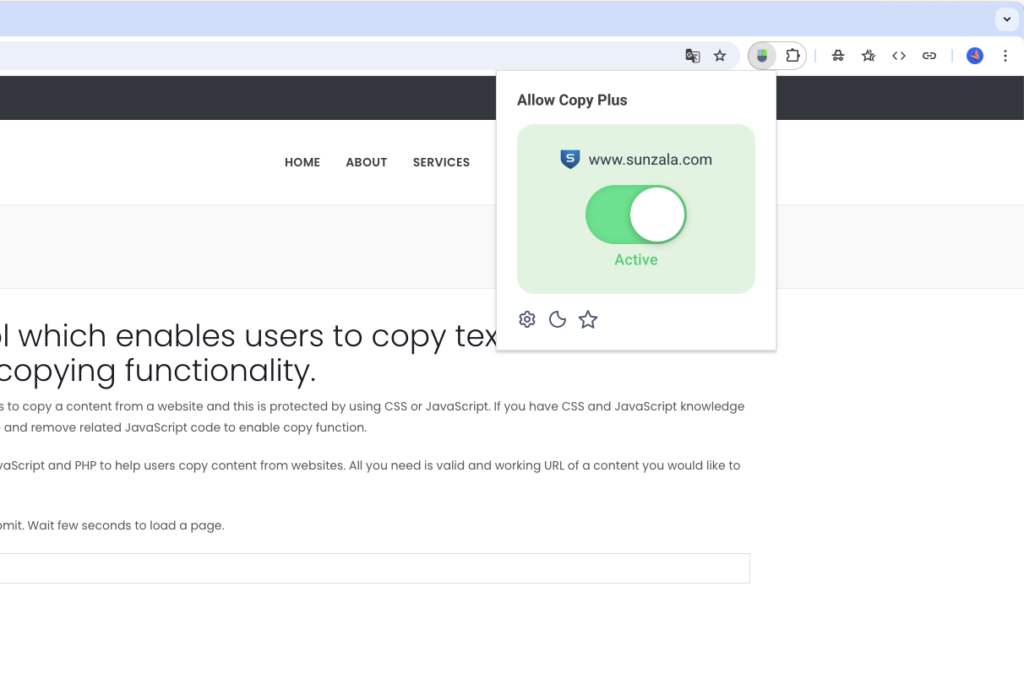 Enable Copy Paste Extension