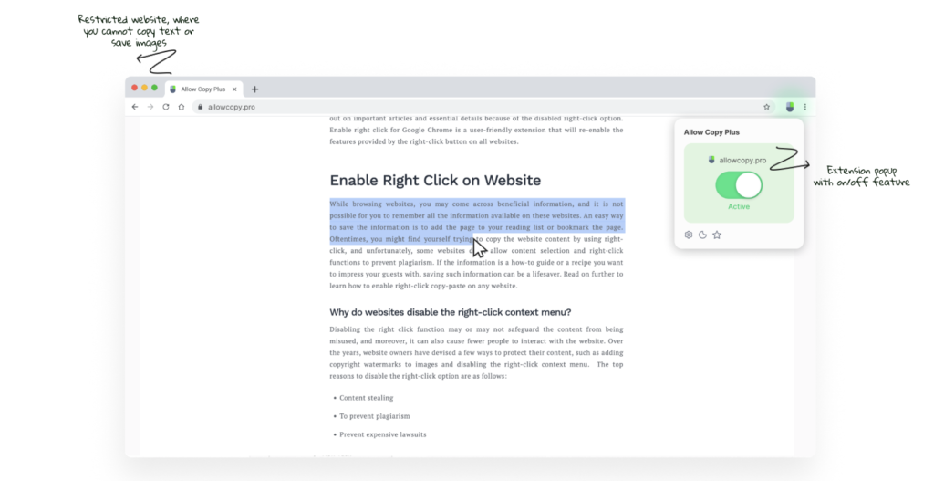 Allow Copy Paste Extension for Chrome