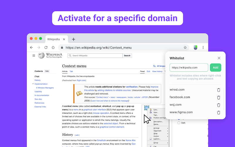 Allow Copy Paste Extension for Chrome